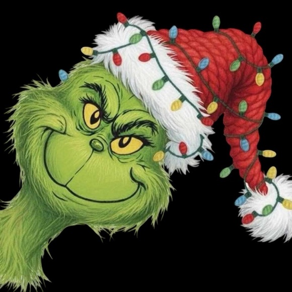 Grinch_gal LIVE FLYER - Picture 7 of 7